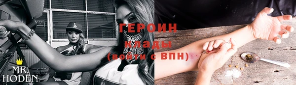 индика Арсеньев