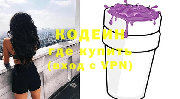 индика Арсеньев