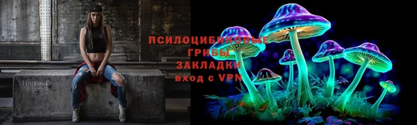 СК Аркадак