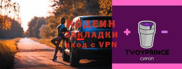 индика Арсеньев