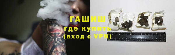 индика Арсеньев