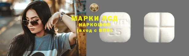 СК Аркадак