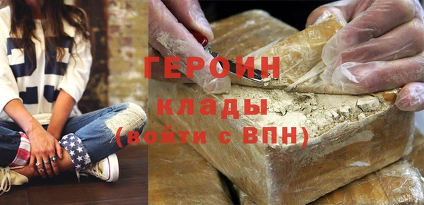 индика Арсеньев