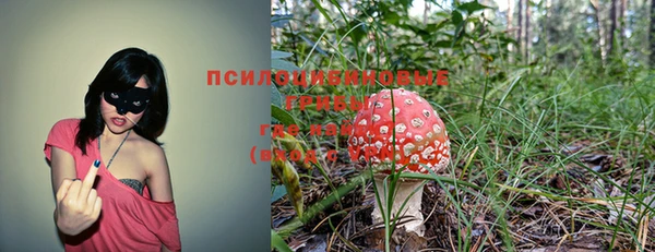 метадон Армянск