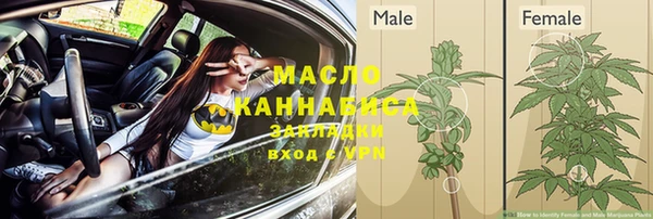 индика Арсеньев
