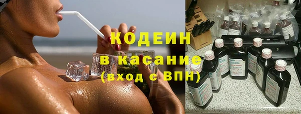 индика Арсеньев