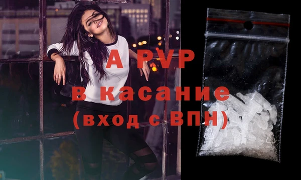 индика Арсеньев