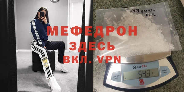 индика Арсеньев
