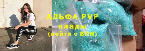 индика Арсеньев