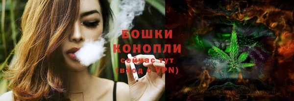 индика Арсеньев
