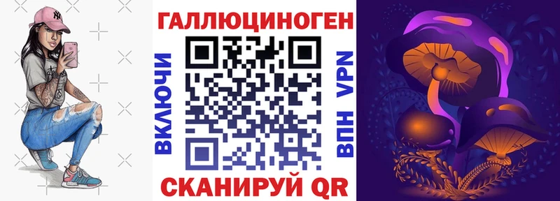 Псилоцибиновые грибы Psilocybine cubensis  блэк спрут ССЫЛКА  Волгоград 